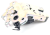 135675fe3fa3070c93cadd9d05104026.png