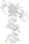 c9bbd2e2504e9a9bc1e342a1bac61b14.png