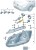 cfbc984f7377c542a3c34a7ef72bc1e5.jpg