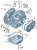 ad956c825304e0b182f2172c8f868182.png