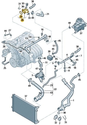 f32ab67ead94ad6e560754439b6e3a57.jpg