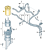99370a241c505cd50122c2b31dd15f7b.png