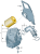 ca620744155ffeaa09a055bdce23fafb.png