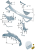 9dcad0b445882724a6e93b4530981106.png
