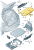 ba944c542abcb8f2a25d1a9418178fd1.png