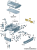 b41de4050ecca1f71ffad6b6baed2113.png