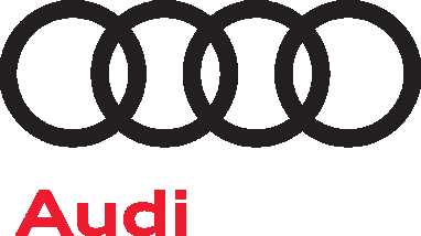 Producent: Audi (przejdź do produktów)